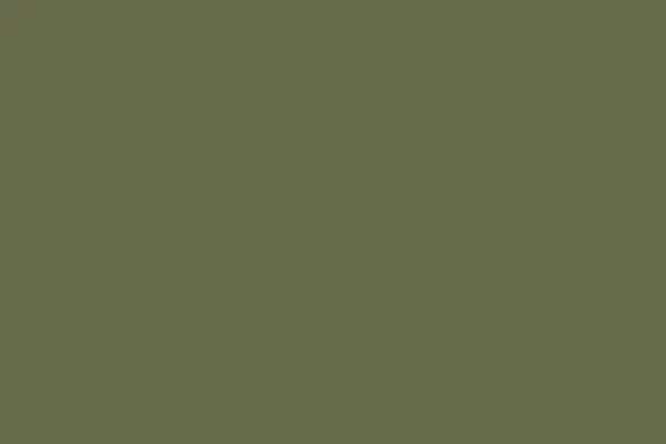 Sportge Army Green