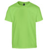 Variation picture for Lime Green